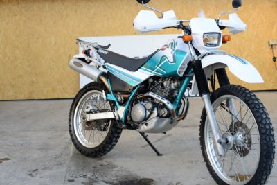 セロー２２５WE　チューブレス　一番人気緑のカモシカカラー