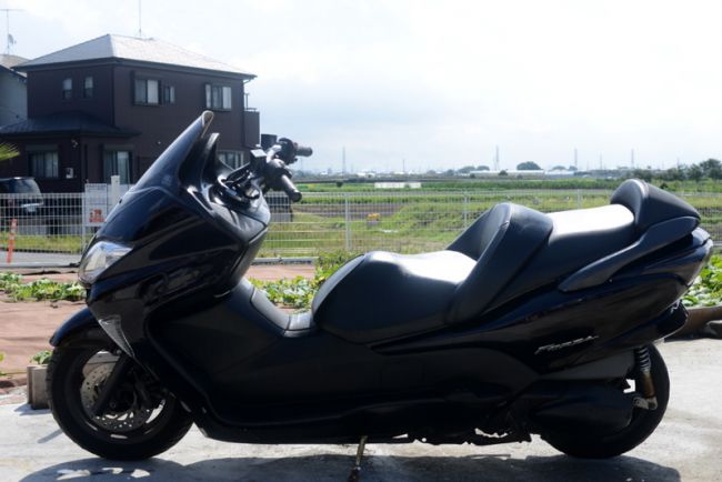 MF06フォルツァZ　パープル　ローダウン