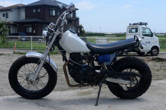 ２JL　ヤマハ　TW200　ホワイト　フルカスタム
