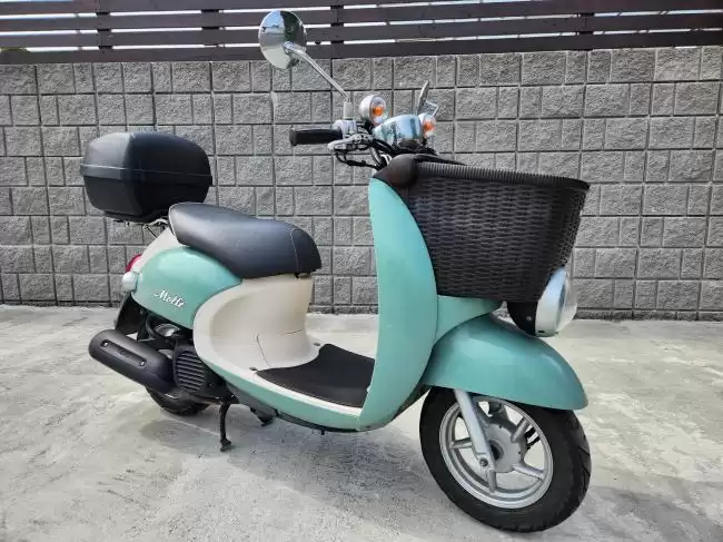 ビーノモルフェ